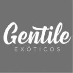 gentile-11-150x150